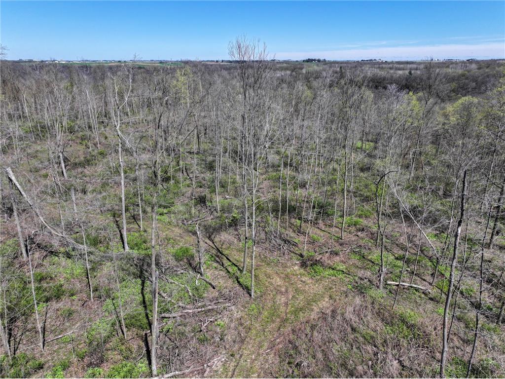 tbd Tierney Drive Saint Charles MN 55910 7064065 image10