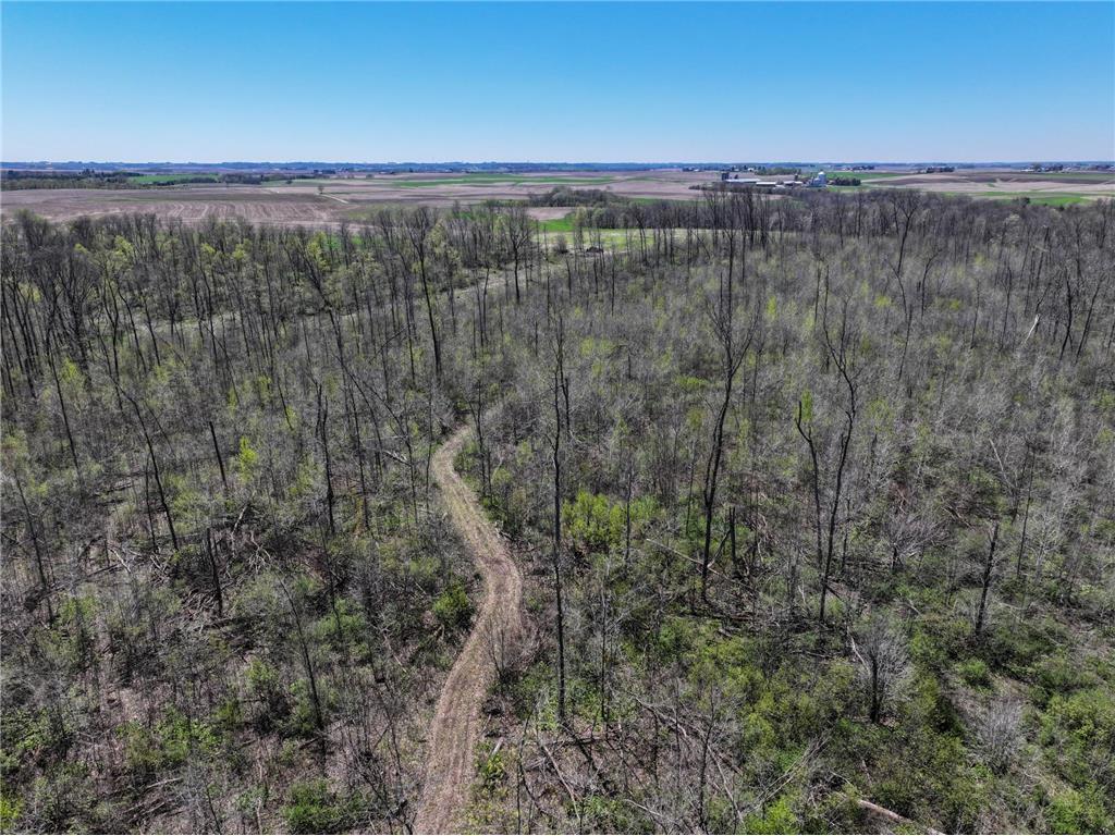 tbd Tierney Drive Saint Charles MN 55910 7064065 image11