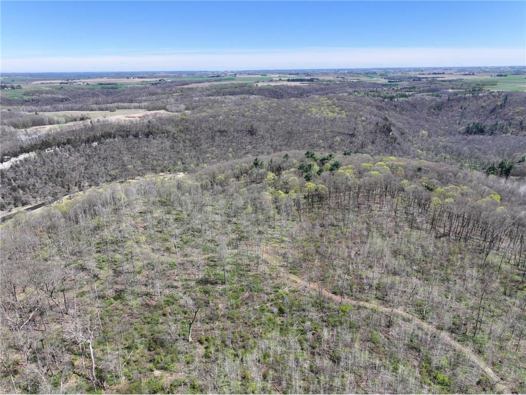 tbd Tierney Drive Saint Charles MN 55910 7064065 image14