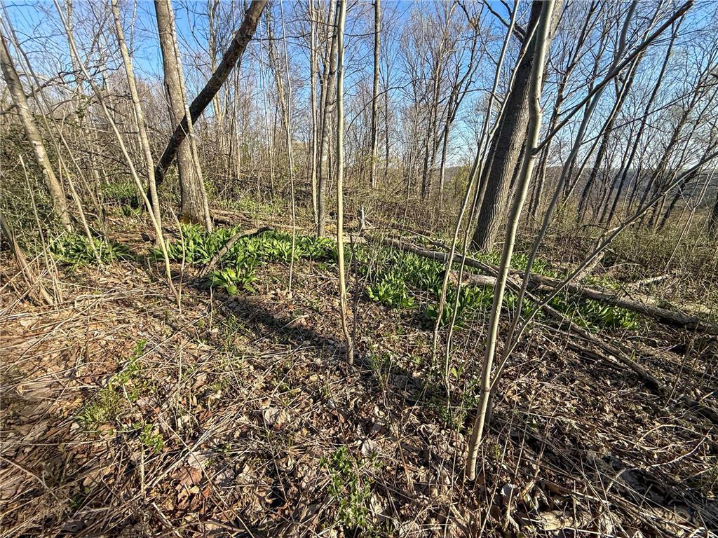 tbd Tierney Drive Saint Charles MN 55910 7064065 image15