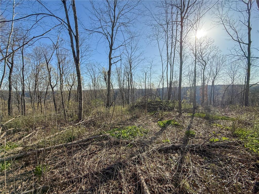tbd Tierney Drive Saint Charles MN 55910 7064065 image17
