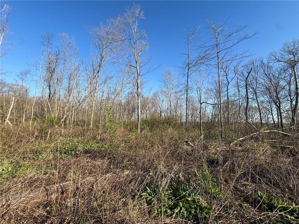 tbd Tierney Drive Saint Charles MN 55910 7064065 image18