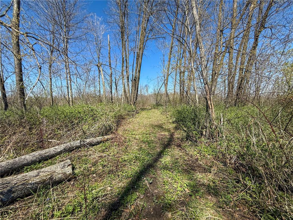tbd Tierney Drive Saint Charles MN 55910 7064065 image19