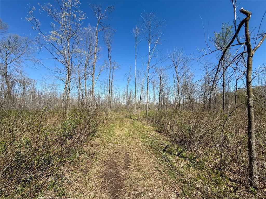 tbd Tierney Drive Saint Charles MN 55910 7064065 image20