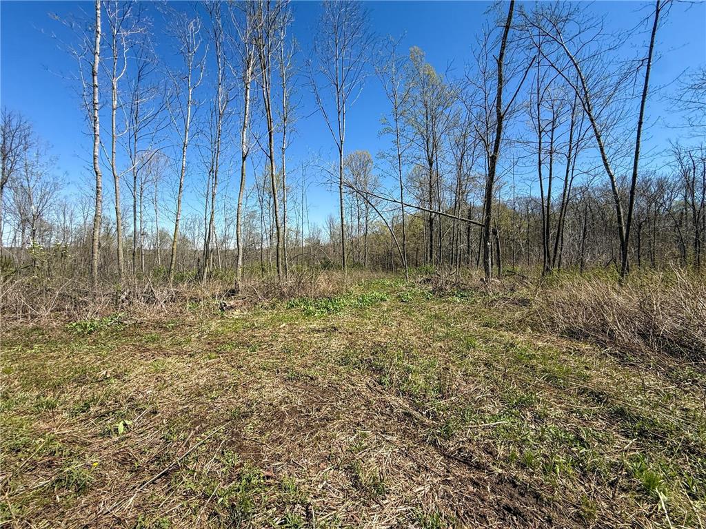 tbd Tierney Drive Saint Charles MN 55910 7064065 image21