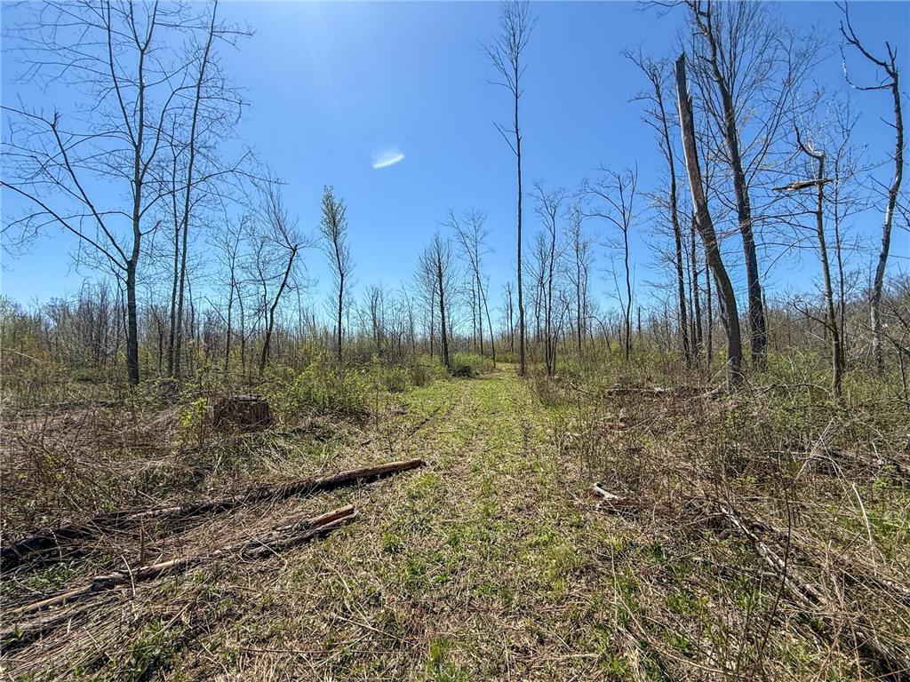 tbd Tierney Drive Saint Charles MN 55910 7064065 image22