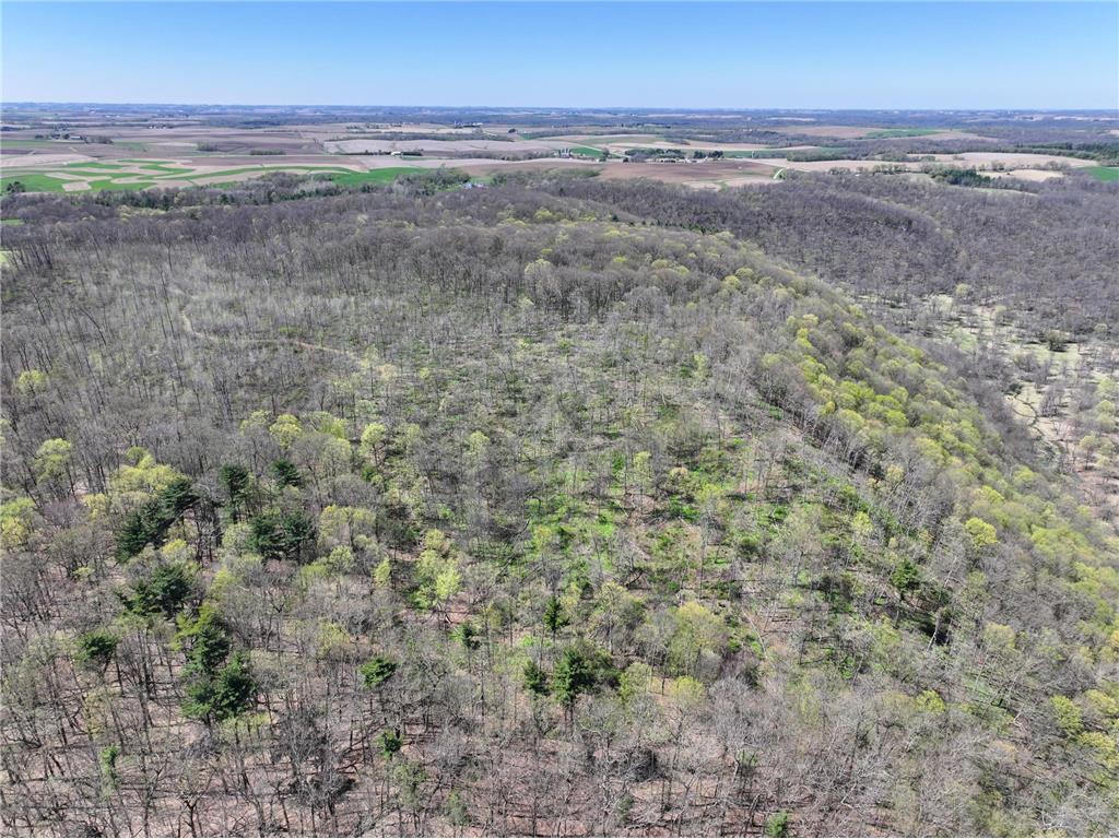 tbd Tierney Drive Saint Charles MN 55910 7064065 image3
