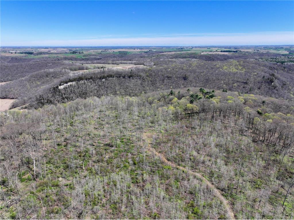 tbd Tierney Drive Saint Charles MN 55910 7064065 image7