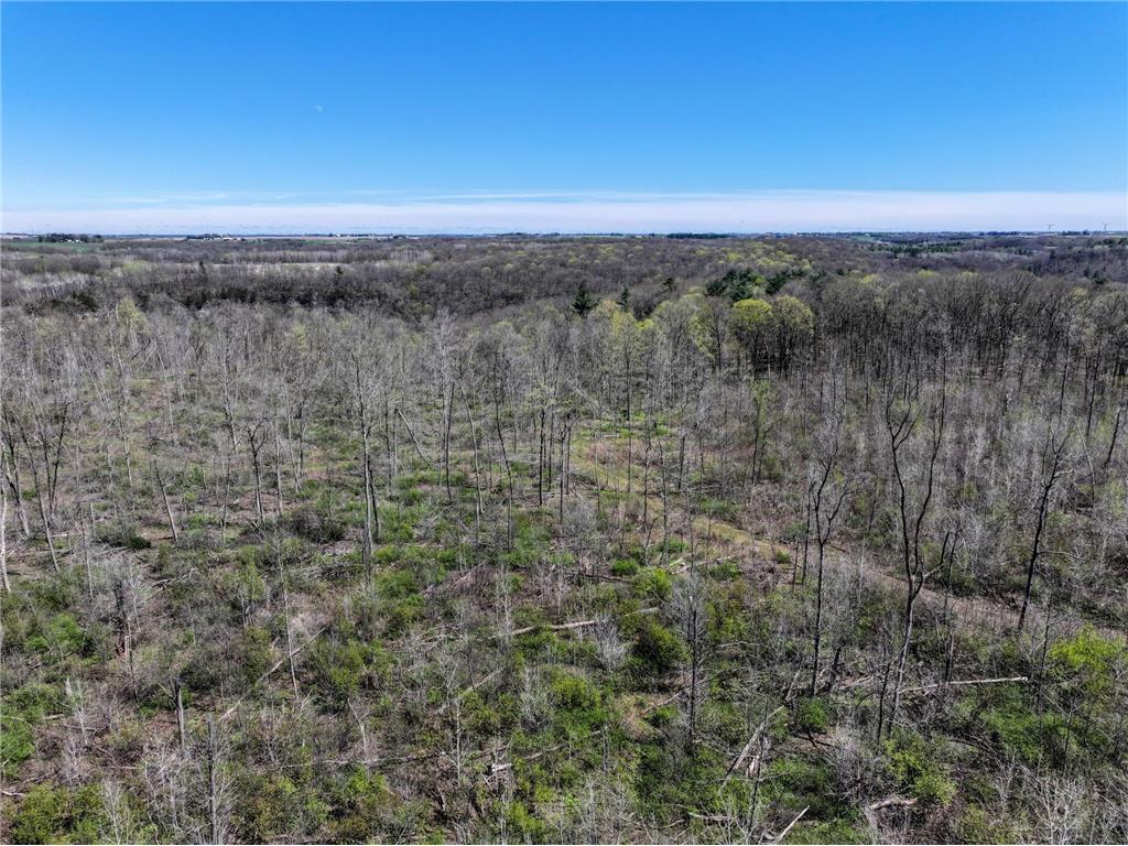 tbd Tierney Drive Saint Charles MN 55910 7064065 image8
