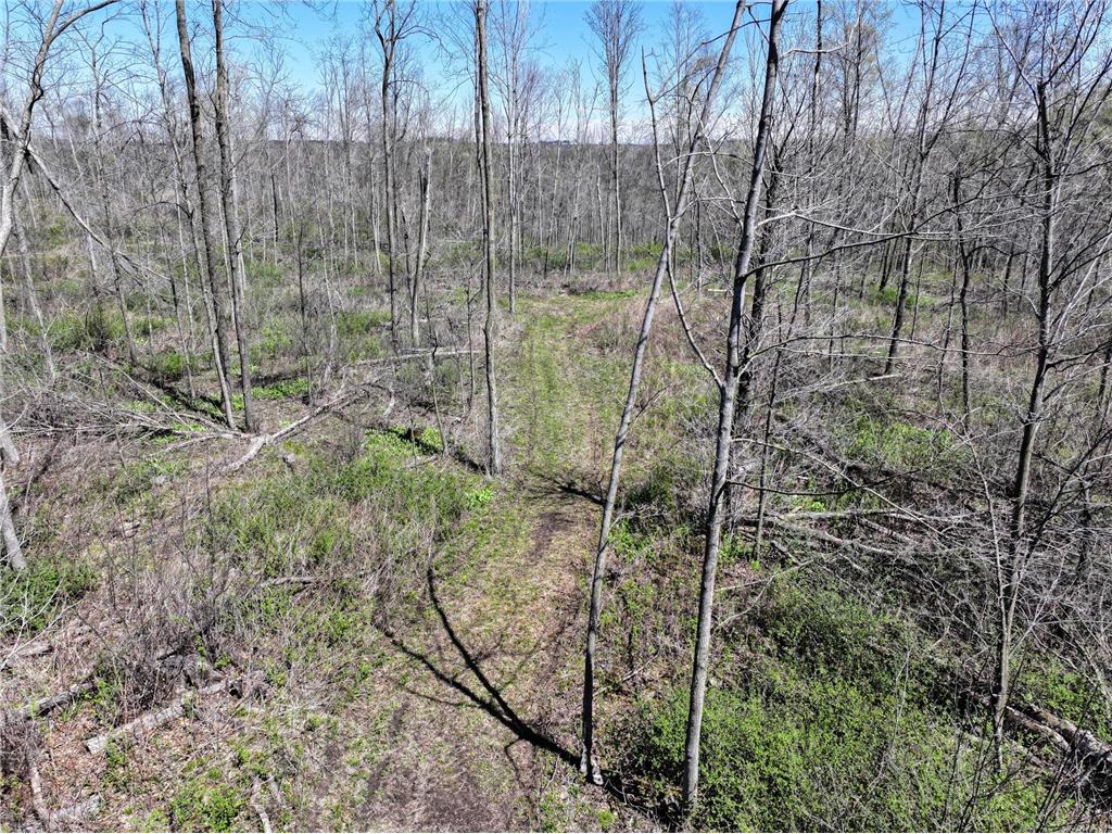 tbd Tierney Drive Saint Charles MN 55910 7064065 image9