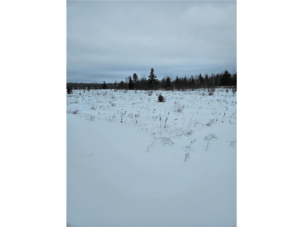 tbd tbd Birchdale MN 56629 - Rainy River 6647485 image1