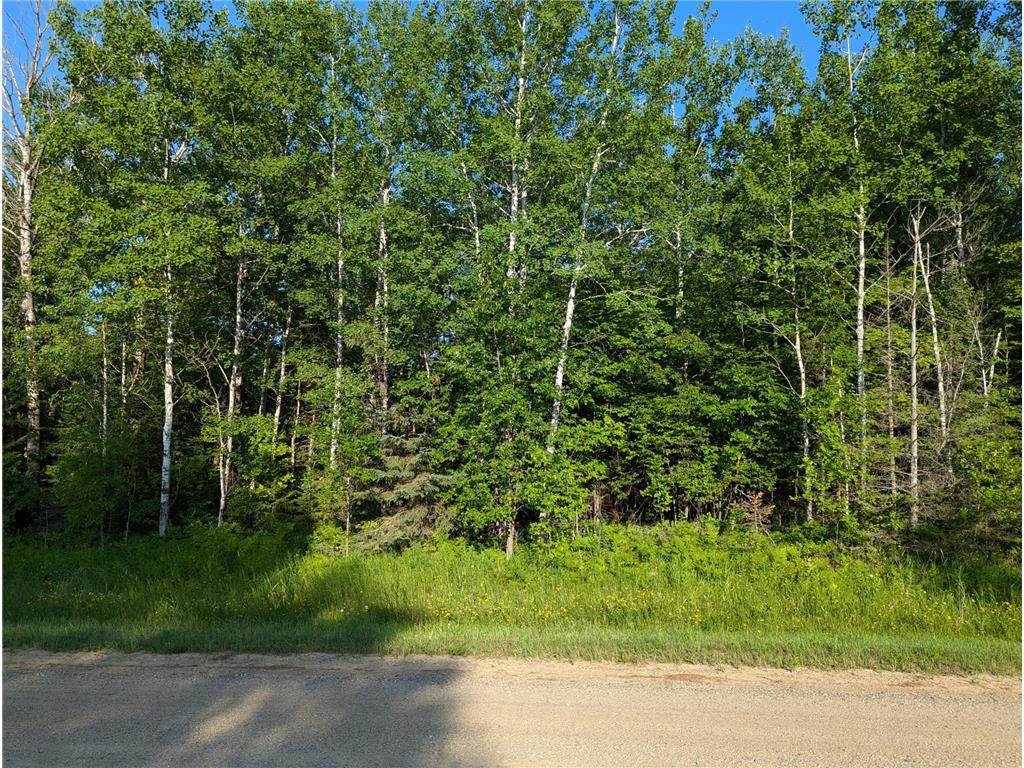 tbd tbd Tenstrike MN 56647 6569932 image1