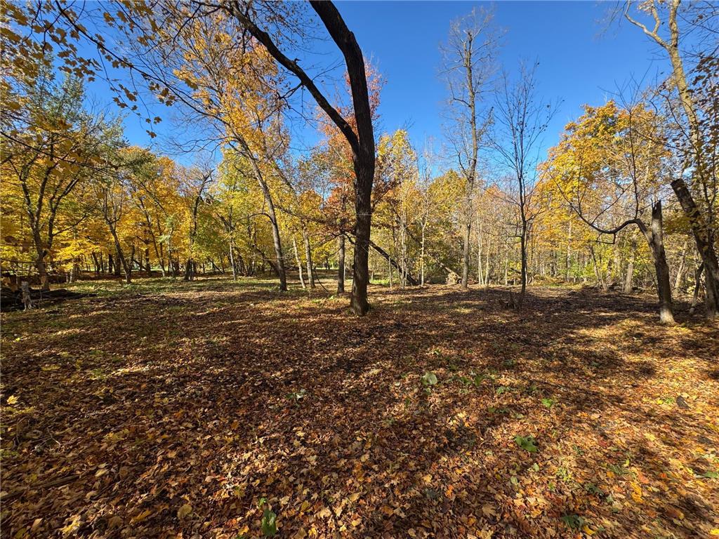 to be determined Selnes Rd Glenwood Twp MN 56334 6805151 image10