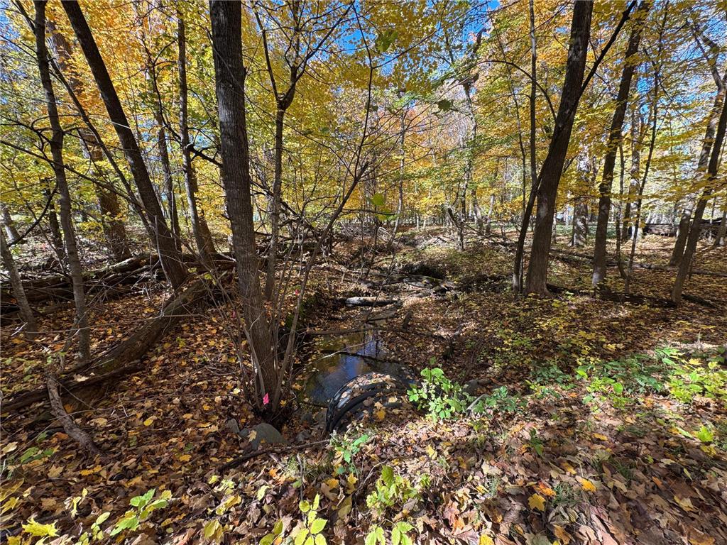 to be determined Selnes Rd Glenwood Twp MN 56334 6805151 image12