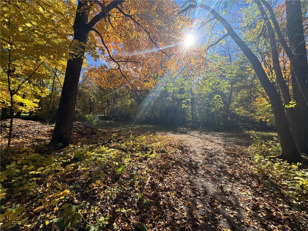 to be determined Selnes Rd Glenwood Twp MN 56334 6805151 image4