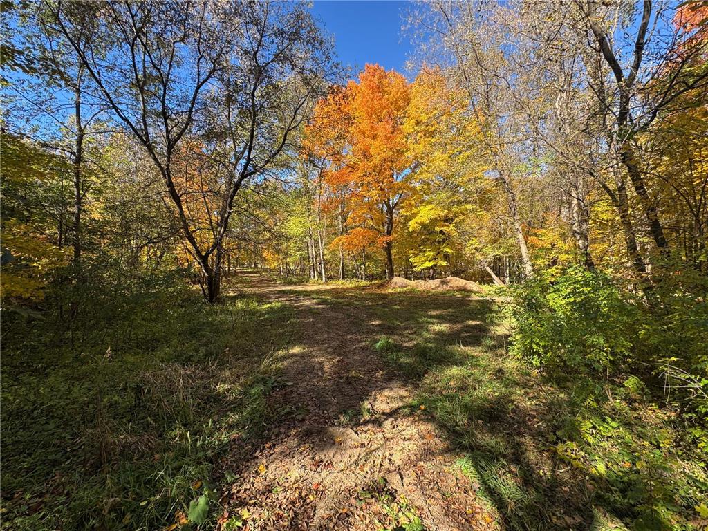 to be determined Selnes Rd Glenwood Twp MN 56334 6805151 image6