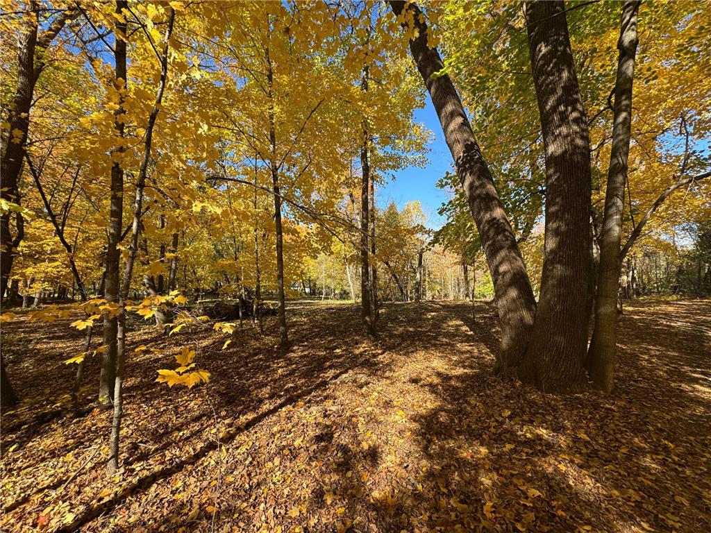 to be determined Selnes Rd Glenwood Twp MN 56334 6805151 image8