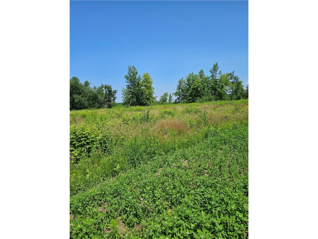 lot7 Hooper Creek Loop, Baudette, MN 56623 MLS 6395602 Edina Realty