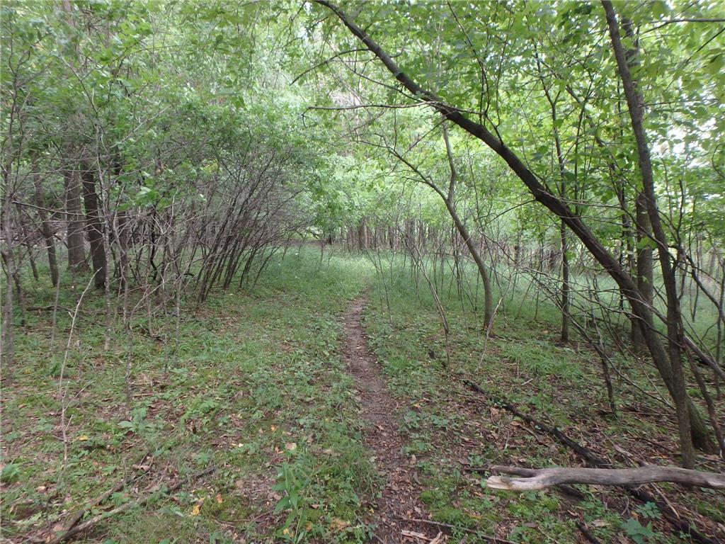 x 231st Street Laketown Twp WI 54006 - Tarbert Lake 6358653 image1