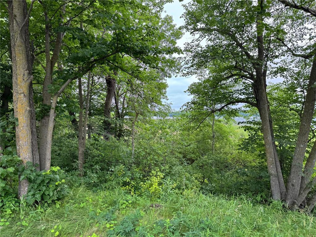 x Leaf River Road Ottertail MN 56571 - Middle Leaf 6746342 image26