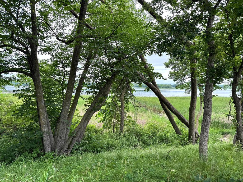 x Leaf River Road Ottertail MN 56571 - Middle Leaf 6746342 image27