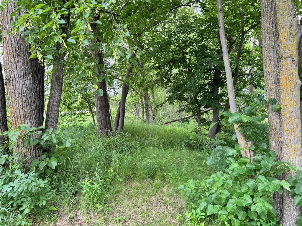 x Leaf River Road Ottertail MN 56571 - Middle Leaf 6746342 image28