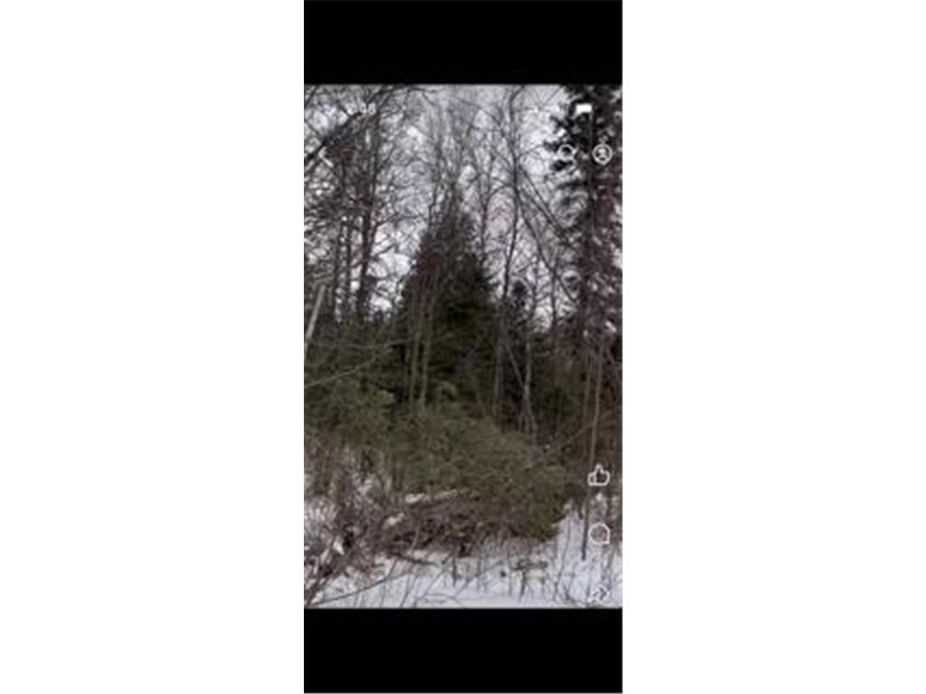 x x Two Harbors MN 55616 7088814 image6