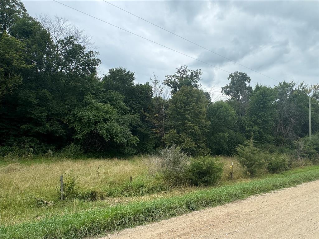 x23 Weller Avenue Young America Twp MN 55368 7019172 image2