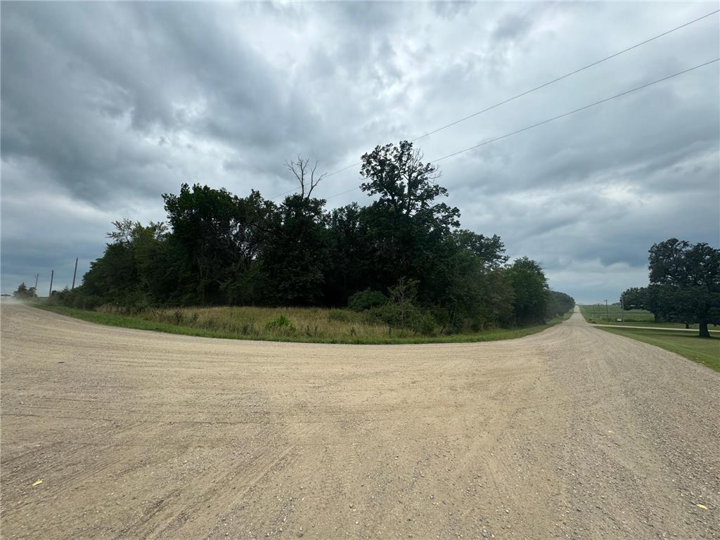 x23 Weller Avenue Young America Twp MN 55368 7019172 image4