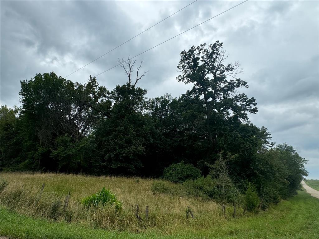 x23 Weller Avenue Young America Twp MN 55368 7019172 image6