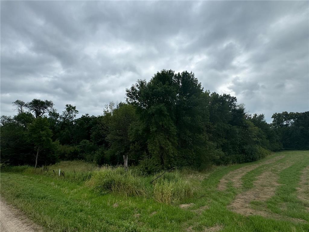 x23 Weller Avenue Young America Twp MN 55368 7019172 image7