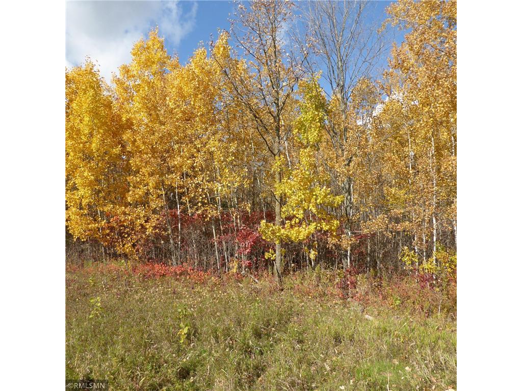 xx Dahl Road Hinckley MN 55037 6451202 image1