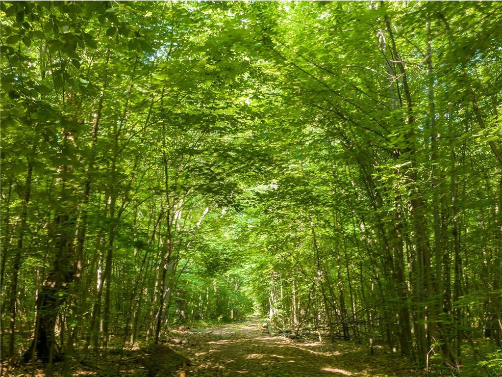 xx Ivy Ln Rushseba Twp MN 55069 6388944 image1