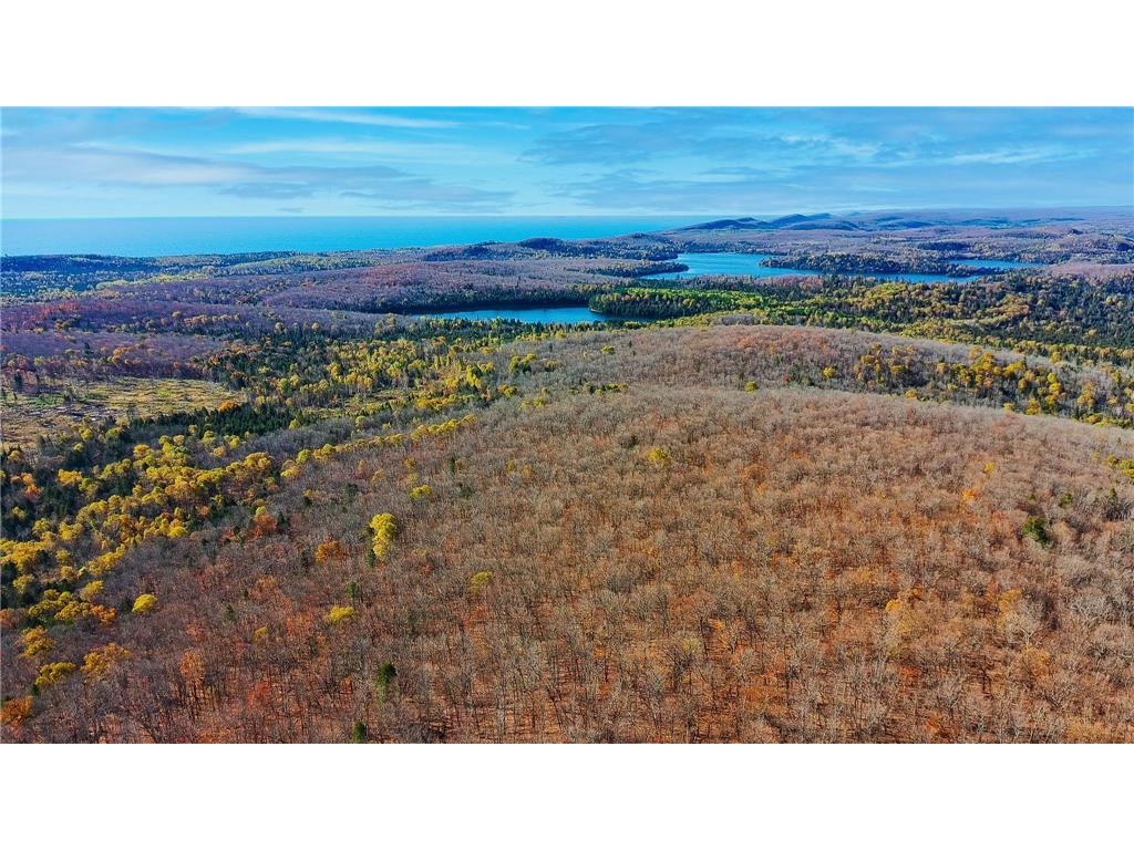 xx W Deeryard Lake Rd Lutsen Twp MN 55612 - Deer Yard 6802526 image2