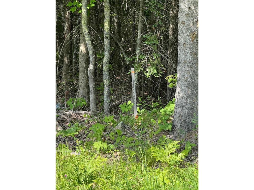 xx3.64 Gamma Road Kabetogama Twp MN 56669 - Kabetogama Lake 6705828 image10