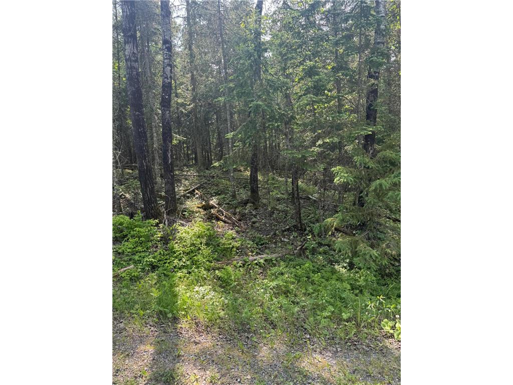 xx3.64 Gamma Road Kabetogama Twp MN 56669 - Kabetogama Lake 6705828 image11