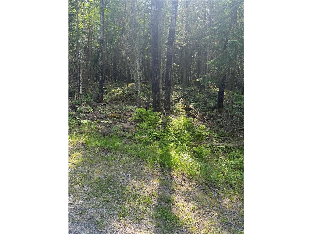 xx3.64 Gamma Road Kabetogama Twp MN 56669 - Kabetogama Lake 6705828 image12