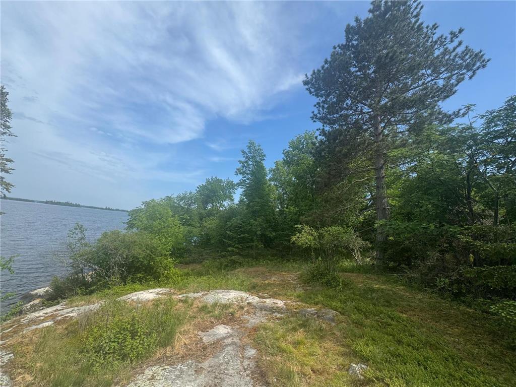 xx3.64 Gamma Road Kabetogama Twp MN 56669 - Kabetogama Lake 6705828 image5