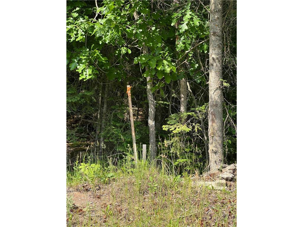 xx3.64 Gamma Road Kabetogama Twp MN 56669 - Kabetogama Lake 6705828 image7