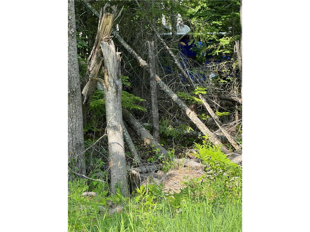 xx3.64 Gamma Road Kabetogama Twp MN 56669 - Kabetogama Lake 6705828 image8