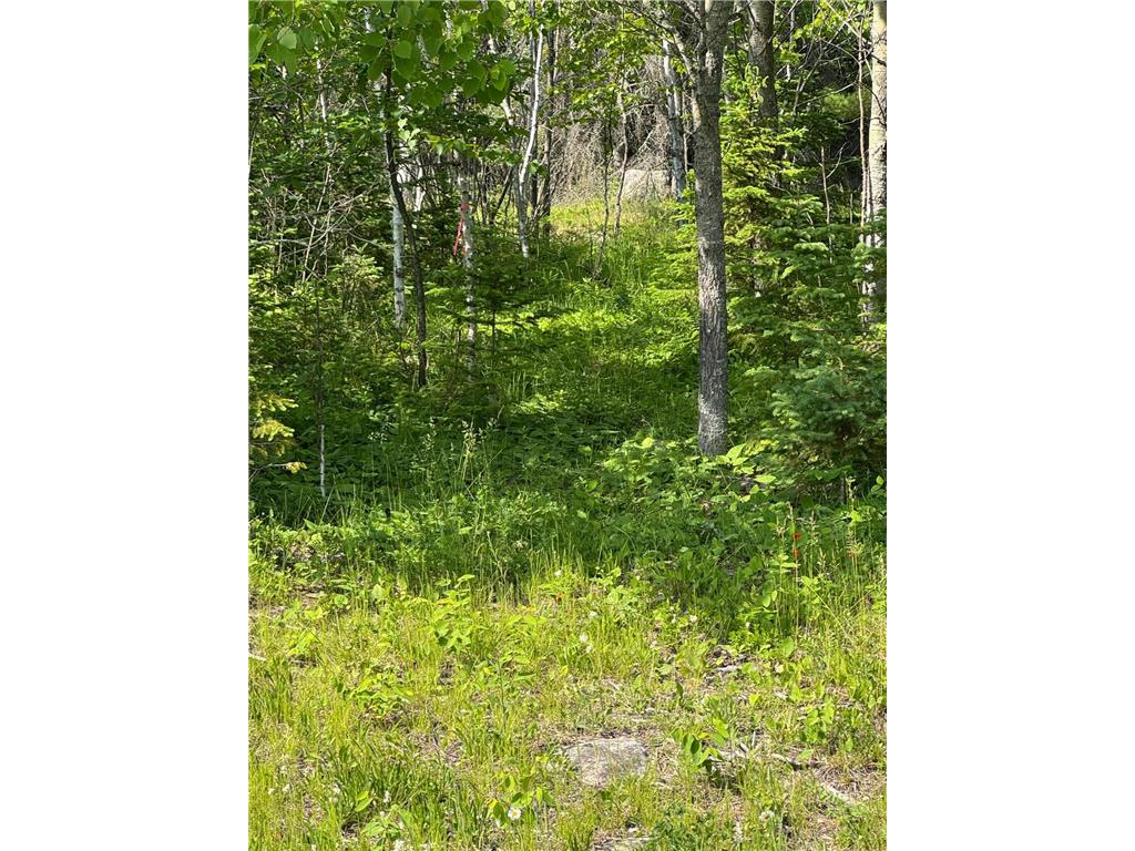 xx3.64 Gamma Road Kabetogama Twp MN 56669 - Kabetogama Lake 6705828 image9