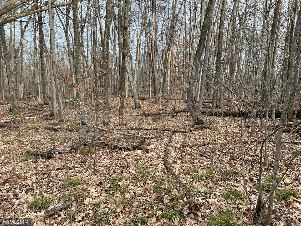 xxx 108th Street Georgetown Twp WI 54853 - Bone Lake 6486061 image1