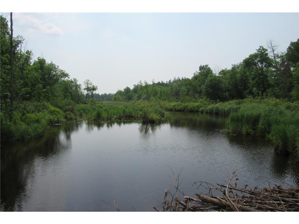 xxx 110th Place Sturgeon Lake MN 55783 - Split Rock 6400906 image1