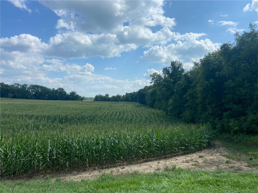 xxx 112th Street NW Corinna Twp MN 55358 6429874 image1