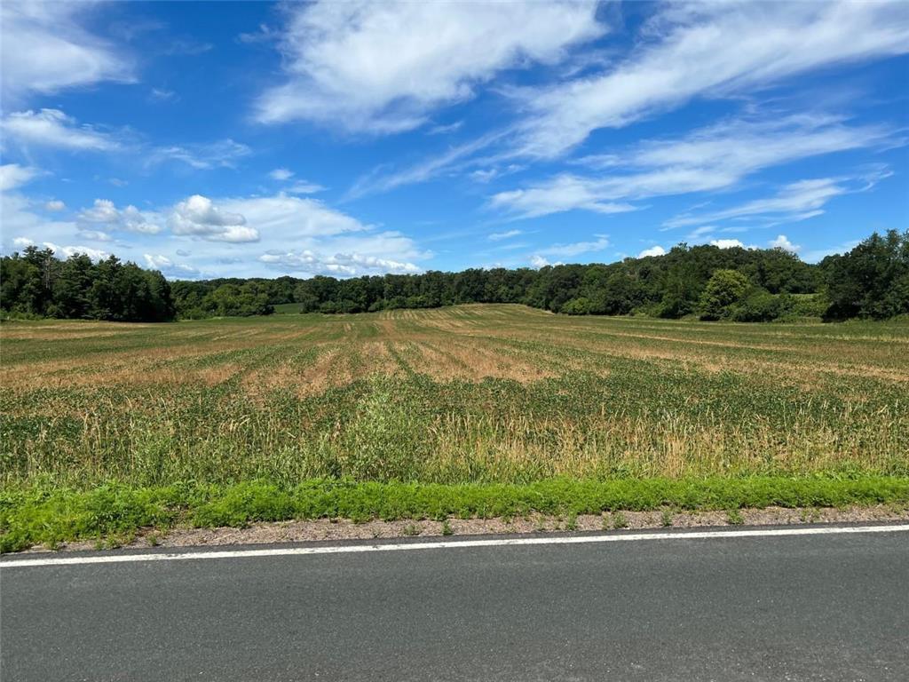 xxx 115th Street, Amery, WI, 54001 MLS 7308901 Edina Realty