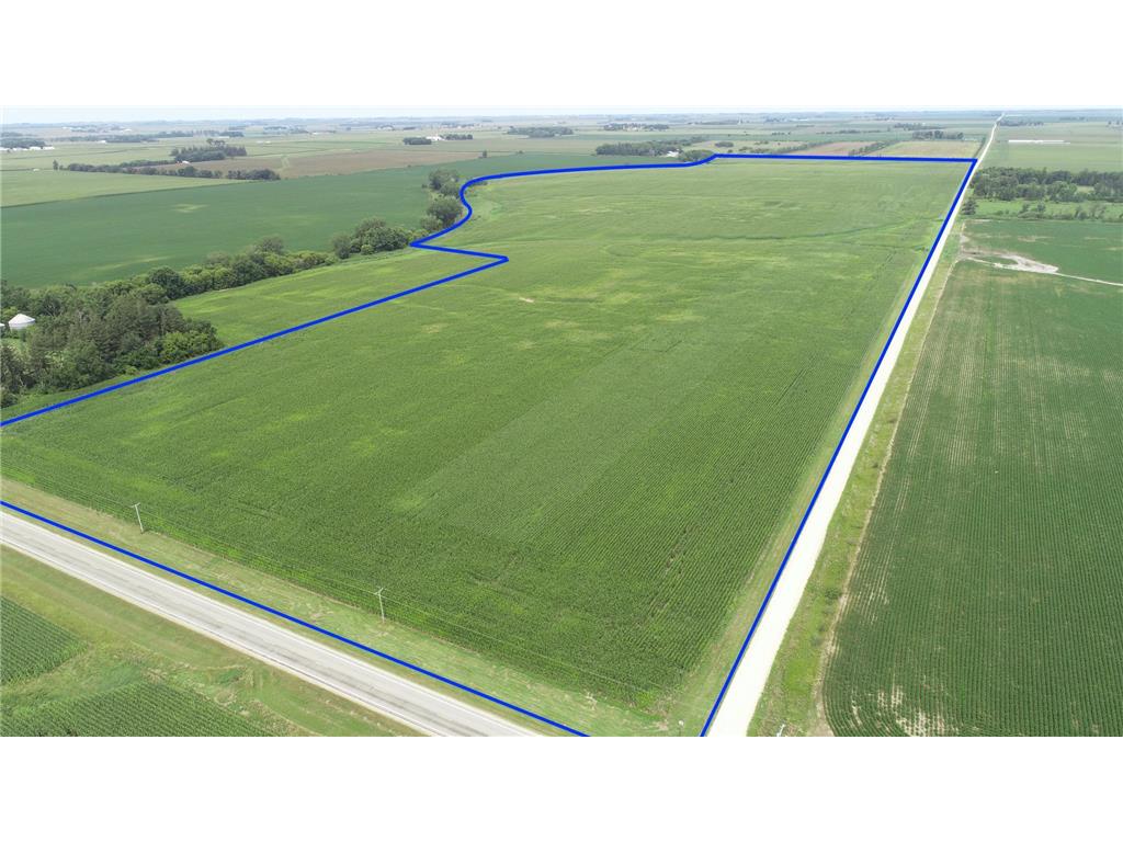 xxx 115th Street Le Roy Twp MN 55951 6570843 image1