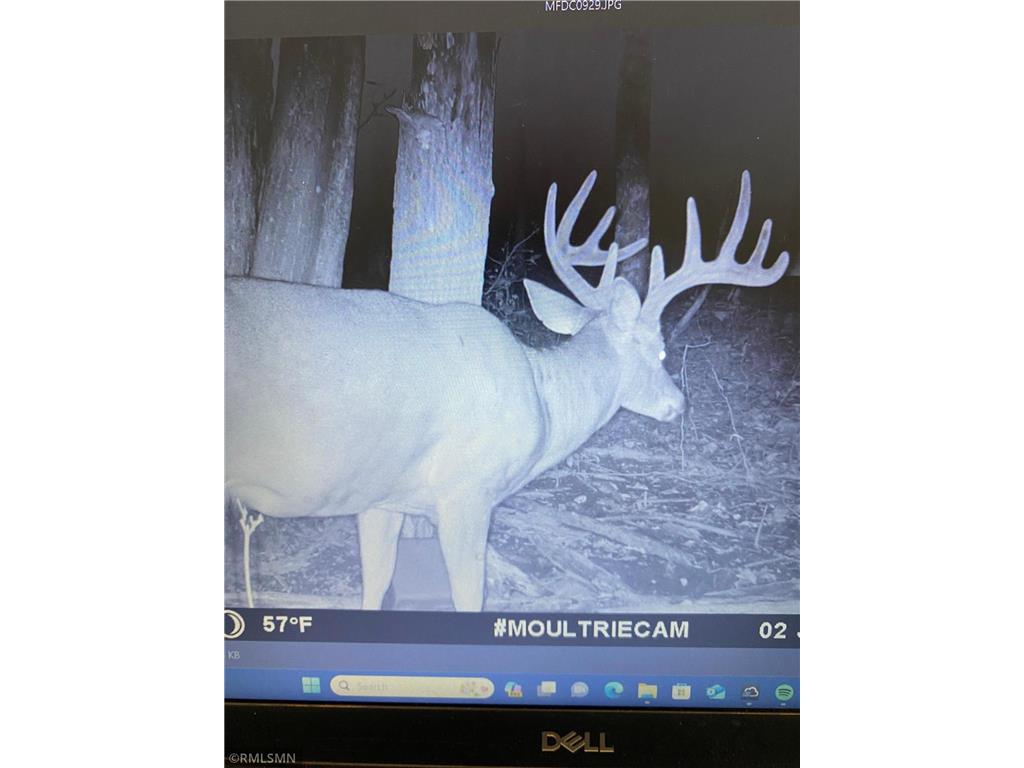 xxx 120th Street Clam Falls WI 54837 6614467 image1