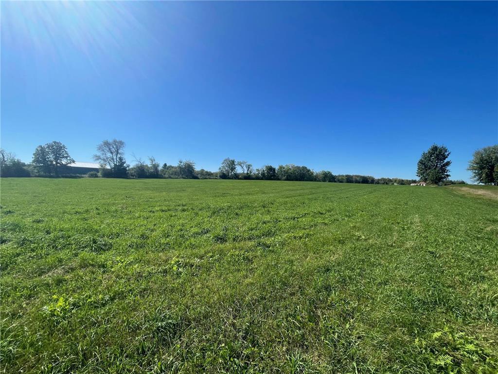 xxx 140th Foreston MN 56330 6606529 image10