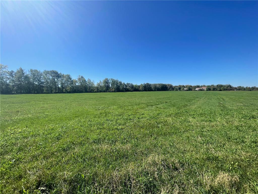 xxx 140th Foreston MN 56330 6606529 image13