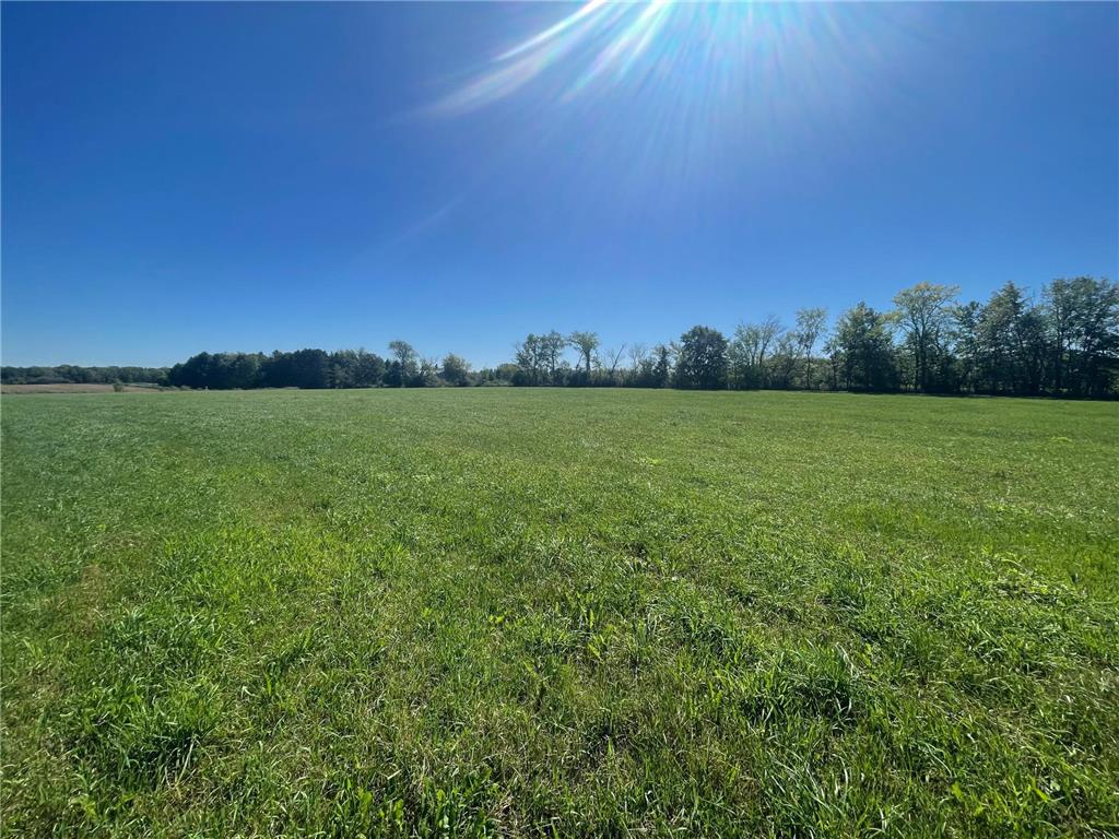 xxx 140th Foreston MN 56330 6606529 image14